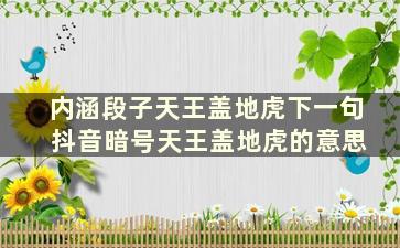 内涵段子天王盖地虎下一句 抖音暗号天王盖地虎的意思